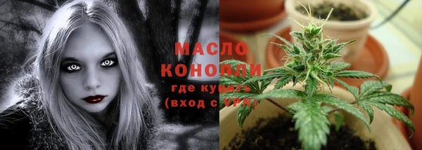 индика Карталы