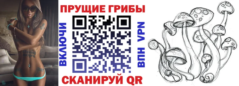 Псилоцибиновые грибы Magic Shrooms кракен зеркало Киренск